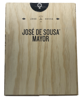 José De Sousa Mayor Tinto