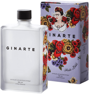 Gin Ginarte Frida Kahlo